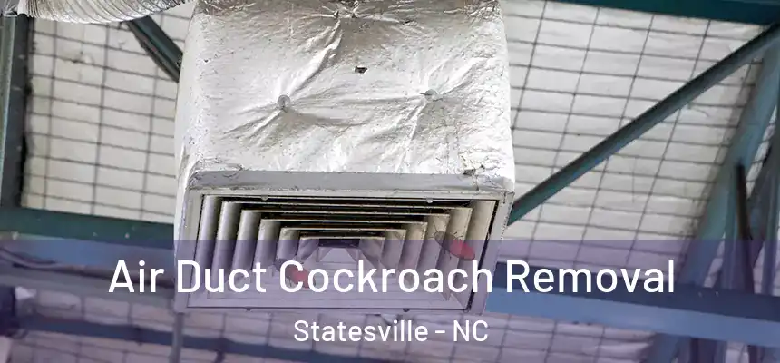 Air Duct Cockroach Removal Statesville - NC