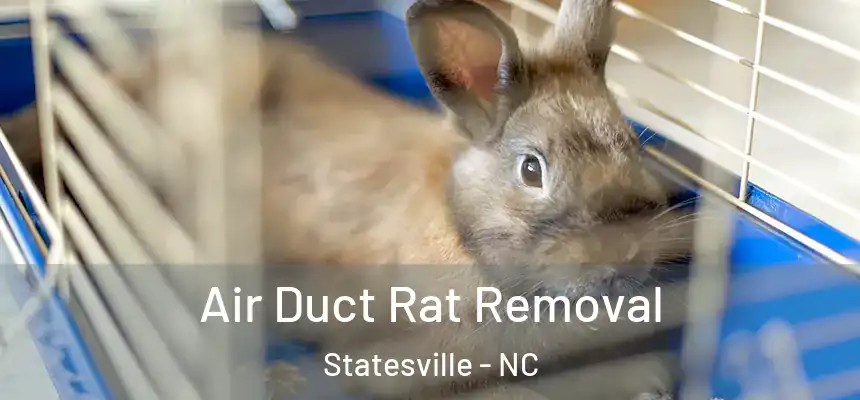  Air Duct Rat Removal Statesville - NC