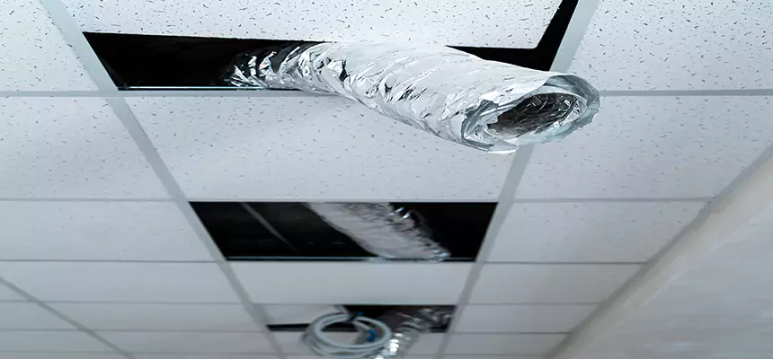 Affordable HVAC Sanitizing After Pest Removal in Statesville