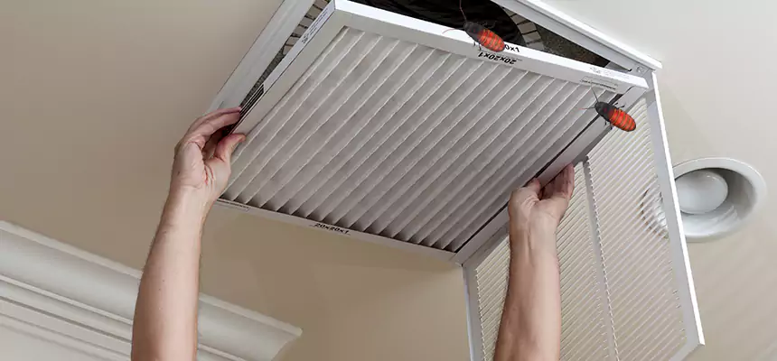 Our Insect Removal from Air Ducts Services in Statesville, NC