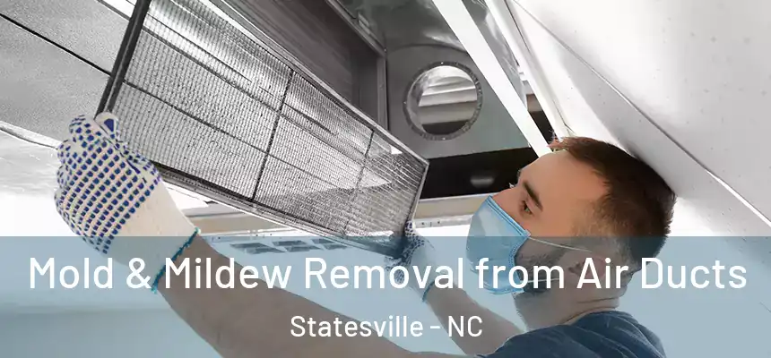  Mold & Mildew Removal from Air Ducts Statesville - NC