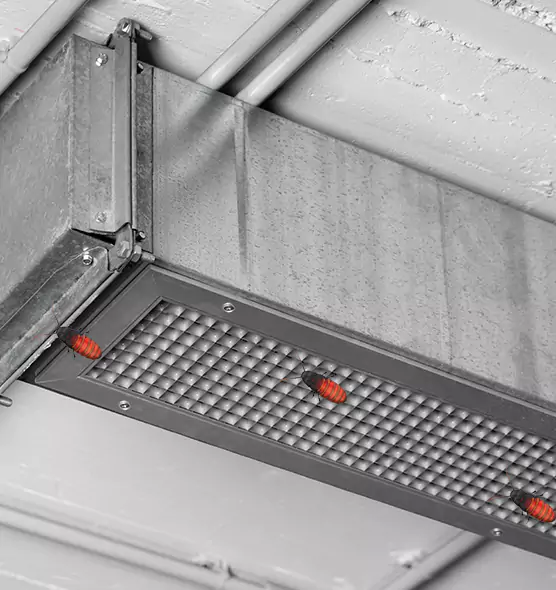 About Air Duct Cockroach Removal in Statesville, NC