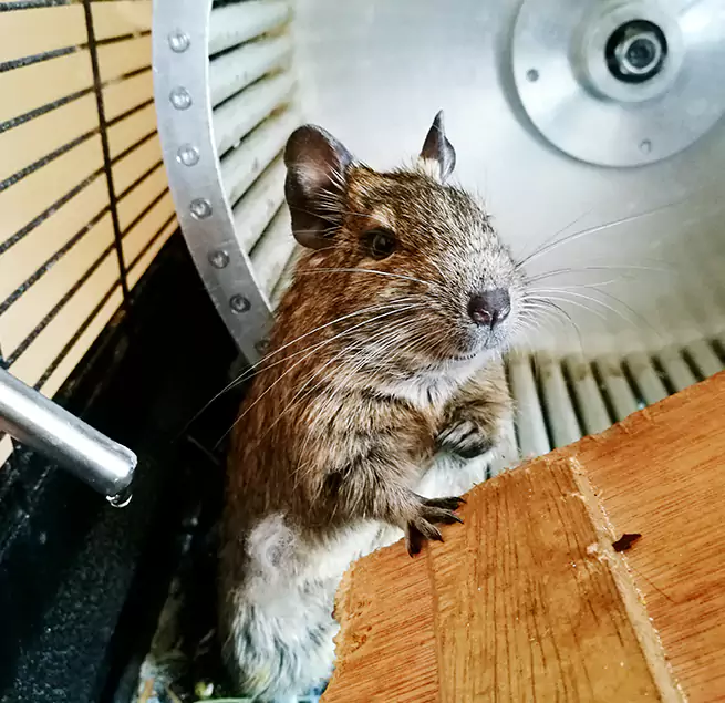 Why Homeowners & Businesses Trust Us Statesville, NC?